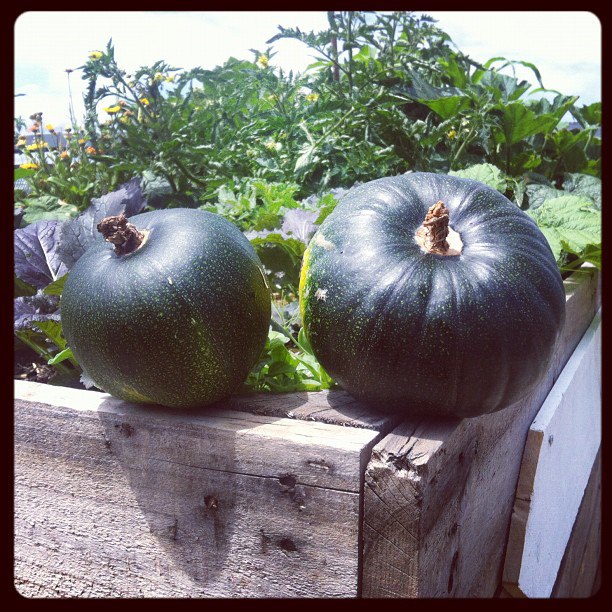 189797_10151119708016548_1303807080_n