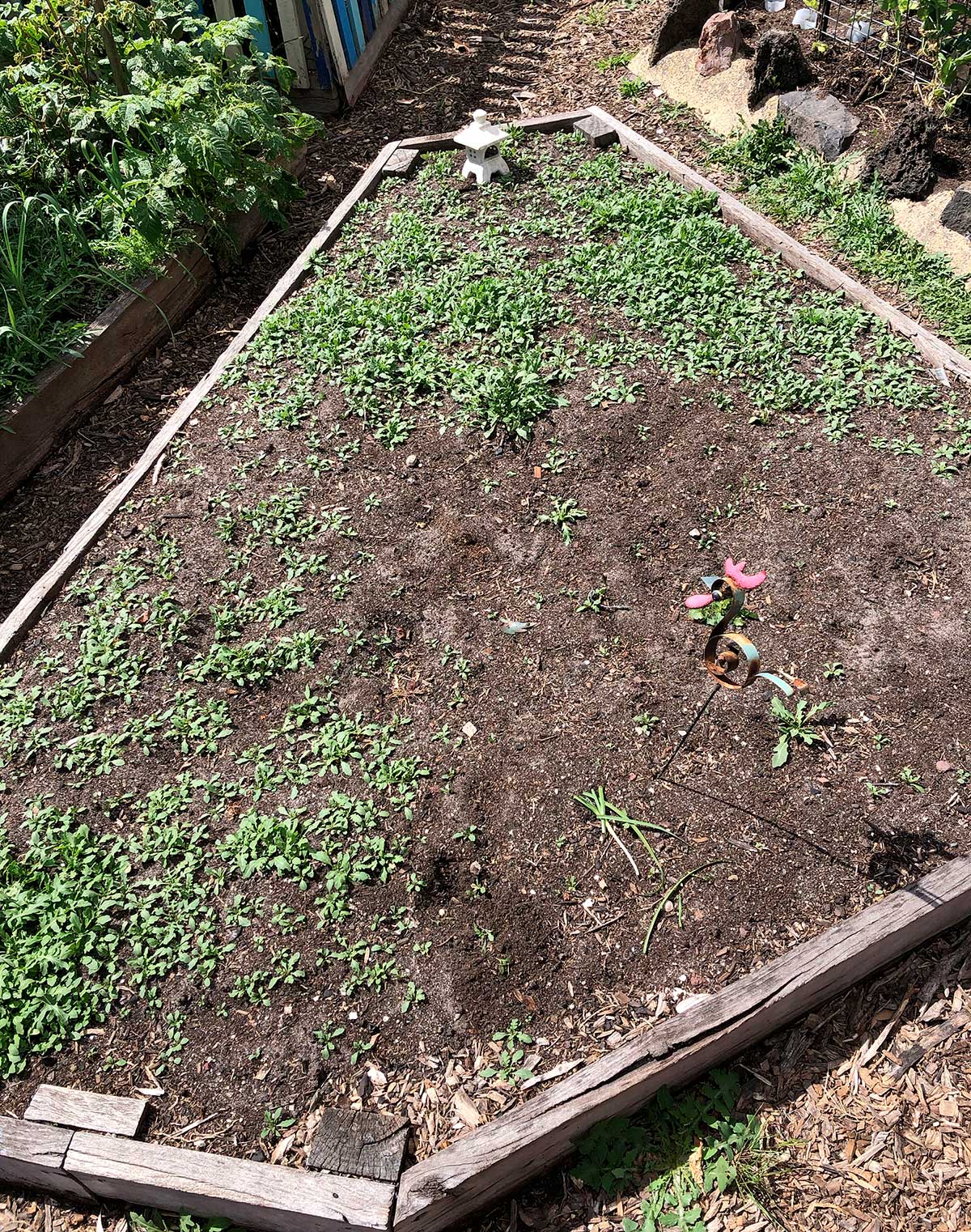 garden